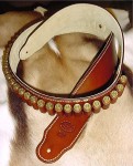 Guitar Strap